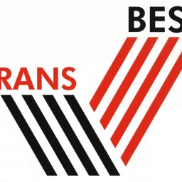 REYDESIGN JAKUB SZYMAŃSKI - Zmiana formatu Logo klienta z PNG na wektor