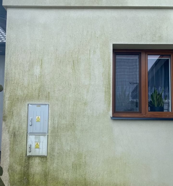Zabrudzona, zielonkawa elewacja budynku z widocznymi plamami i mchem, szara skrzynka elektryczna i okno z brązową ramą, w tle fragment dachu sąsiedniego domu.