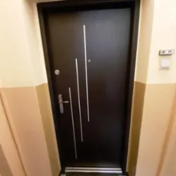 Ciemne drzwi wejściowe z trzema srebrnymi, pionowymi paskami na klatce schodowej z beżowymi ścianami i domofonem po prawej stronie.