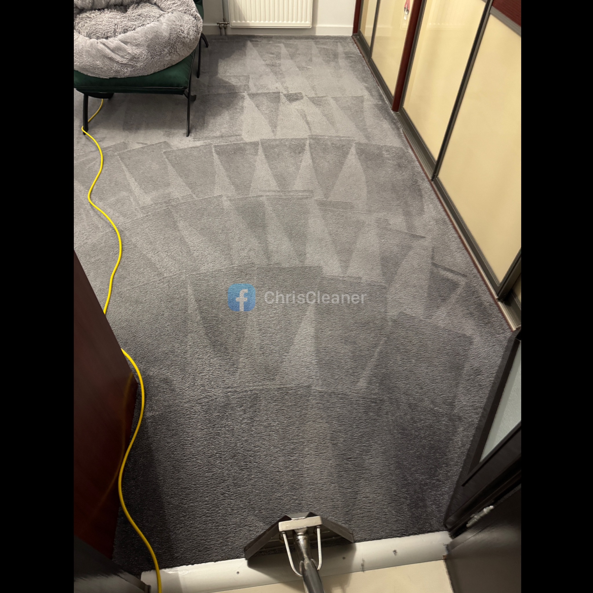 Szary dywan z widocznymi śladami czyszczenia w kształcie trójkątów, widoczna końcówka urządzenia czyszczącego, obok legowisko dla zwierząt i żółty kabel.
