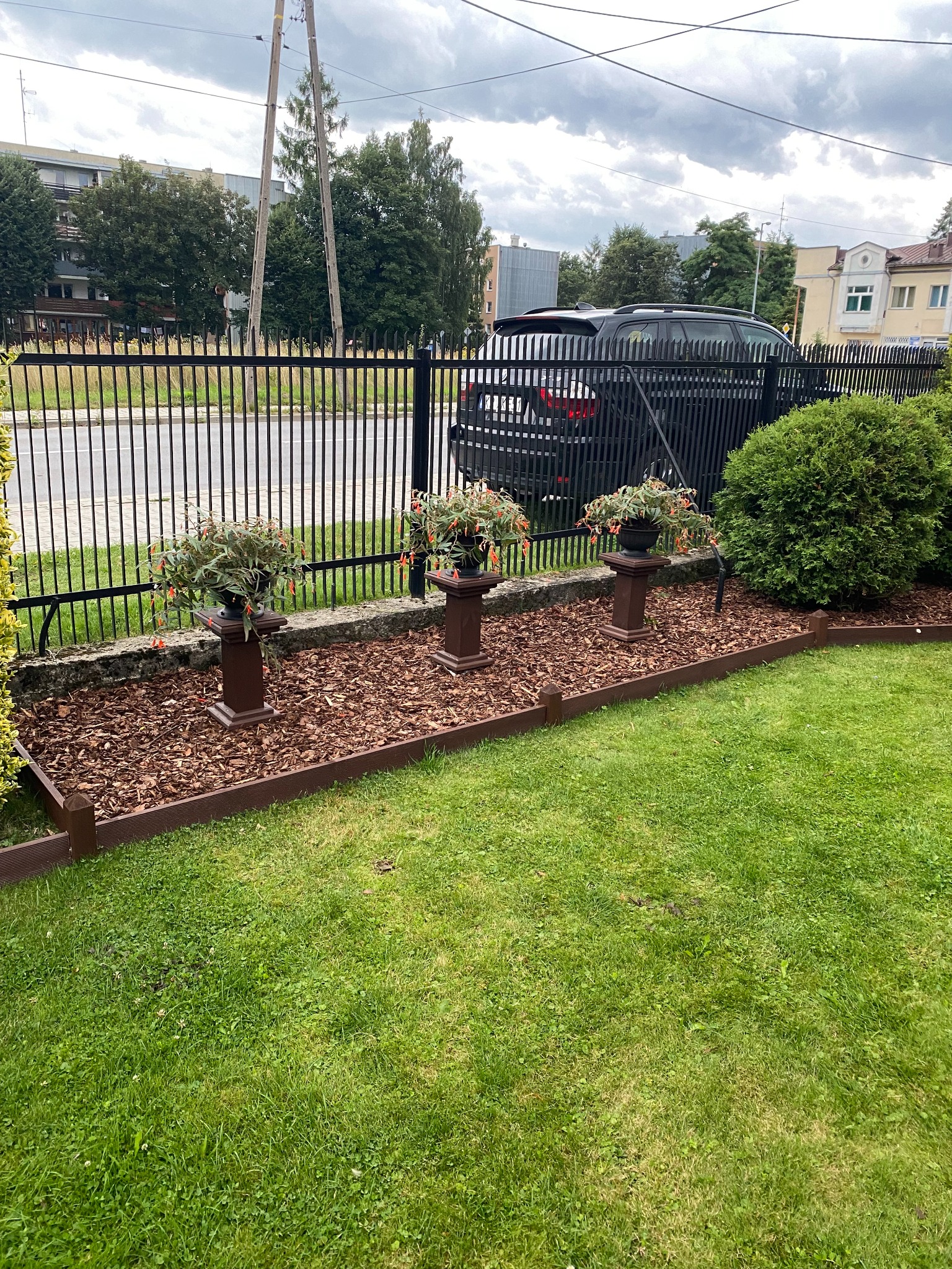 Trzy donice z kwiatami na postumentach ustawione wzdłuż ogrodzenia, kora rozsypana na rabacie, w tle zaparkowany samochód osobowy.