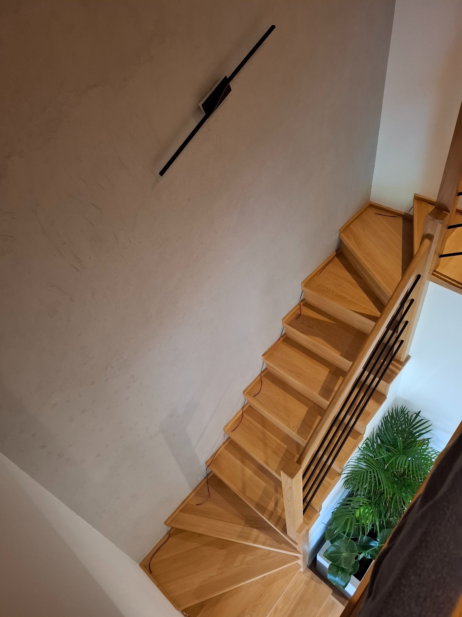Drewniane schody z czarną balustradą, widziane z góry, z rośliną doniczkową na dole. Ściana w odcieniach szarości z minimalistycznym oświetleniem.