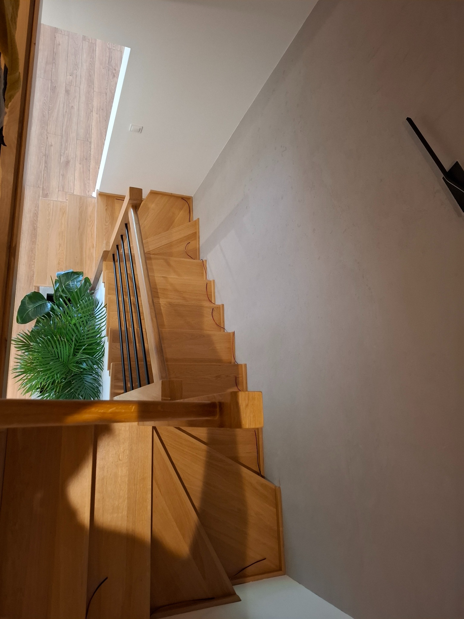 Drewniane schody z czarnymi balustradami, widok z góry. Na podeście roślina doniczkowa. Ściana w odcieniach szarości. Parkiet w tle.
