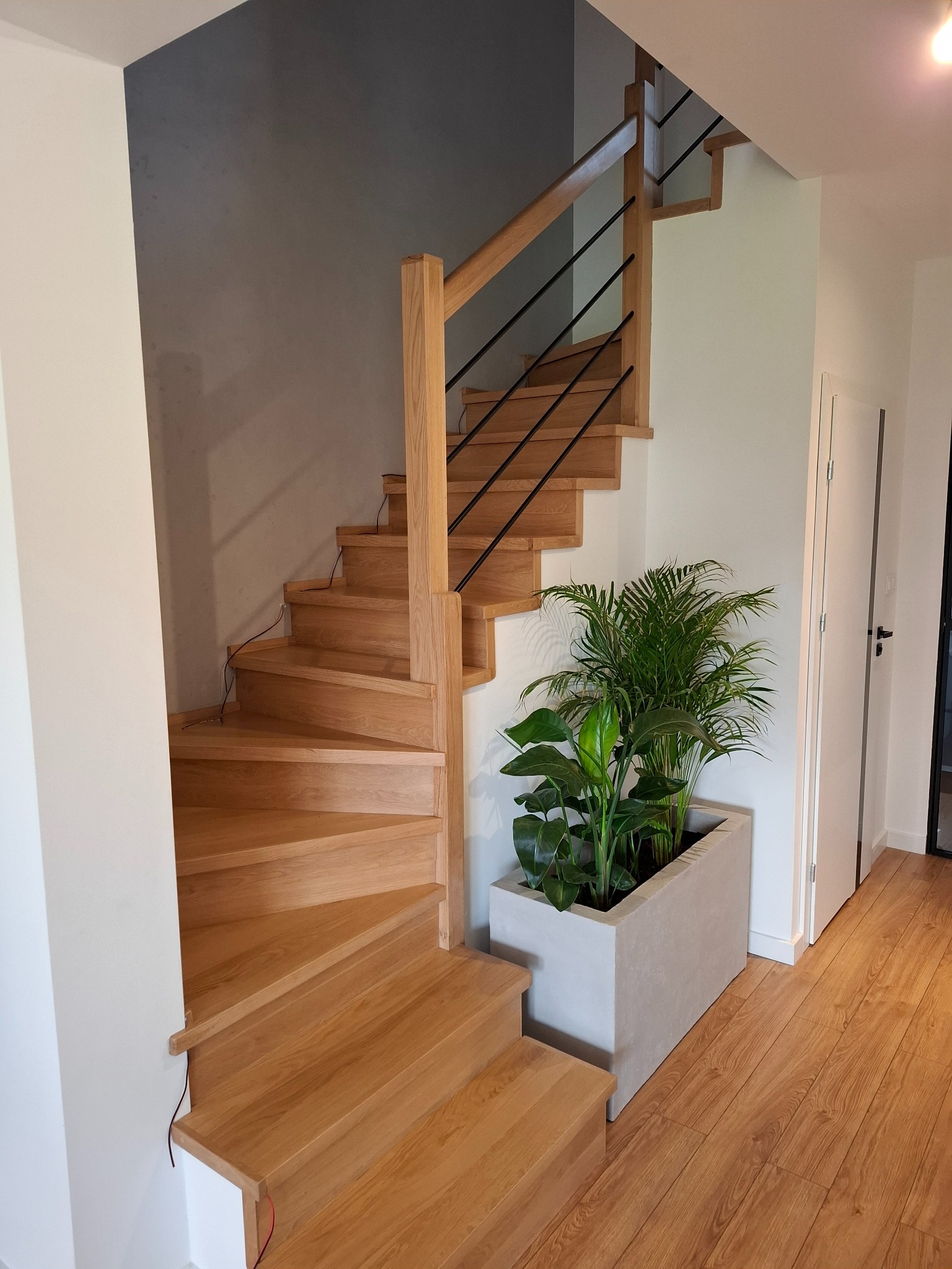 Drewniane schody spiralne z czarną balustradą w jasnym wnętrzu. Obok donica z zielonymi roślinami. Widoczna podłoga z paneli i fragment ściany w dwóch odcieniach szarości.