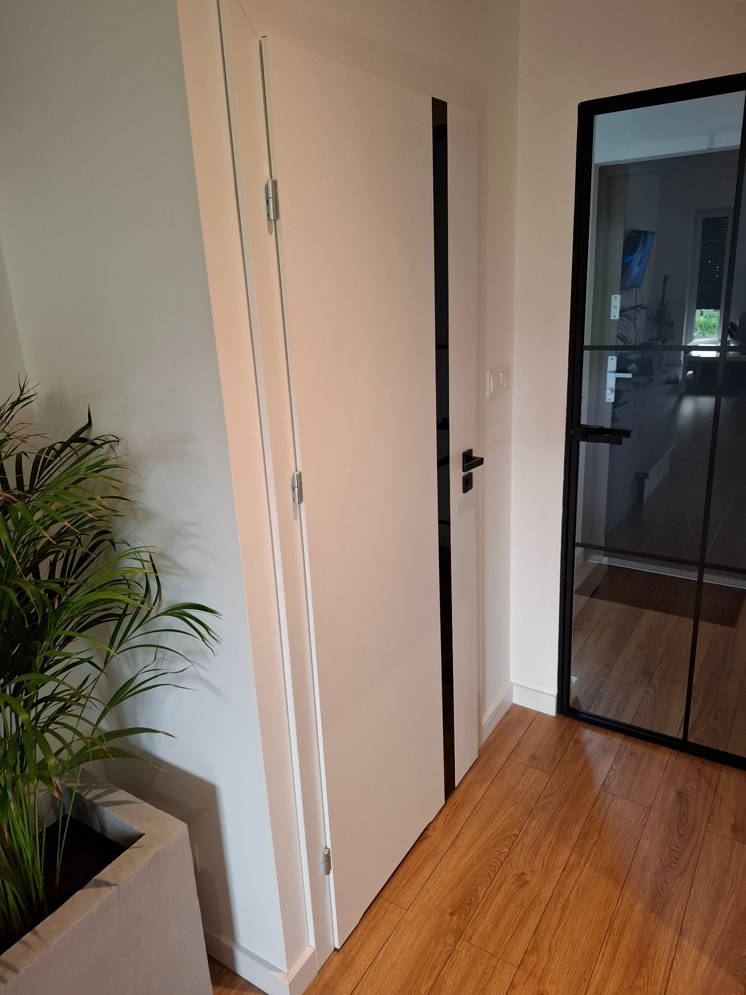 Nowoczesne wnętrze z białymi drzwiami z czarnymi akcentami, przeszklonymi drzwiami z czarną ramą i drewnianą podłogą. W rogu widoczna roślina doniczkowa.
