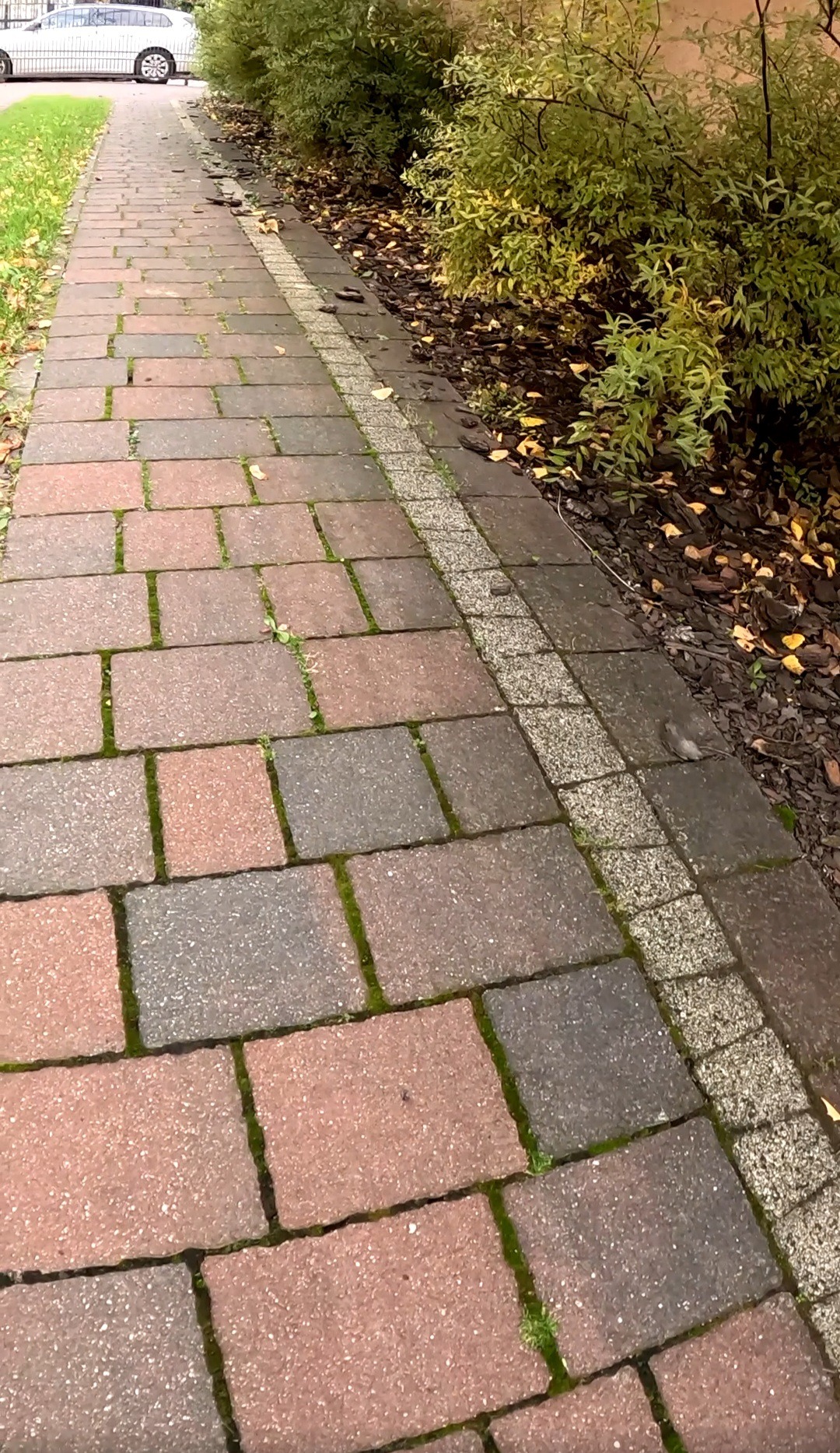 Ceglana ścieżka z mchem między kostkami, obok rabata z korą i krzewami. Widok z góry, lekki kąt. Na końcu ścieżki zaparkowany samochód.