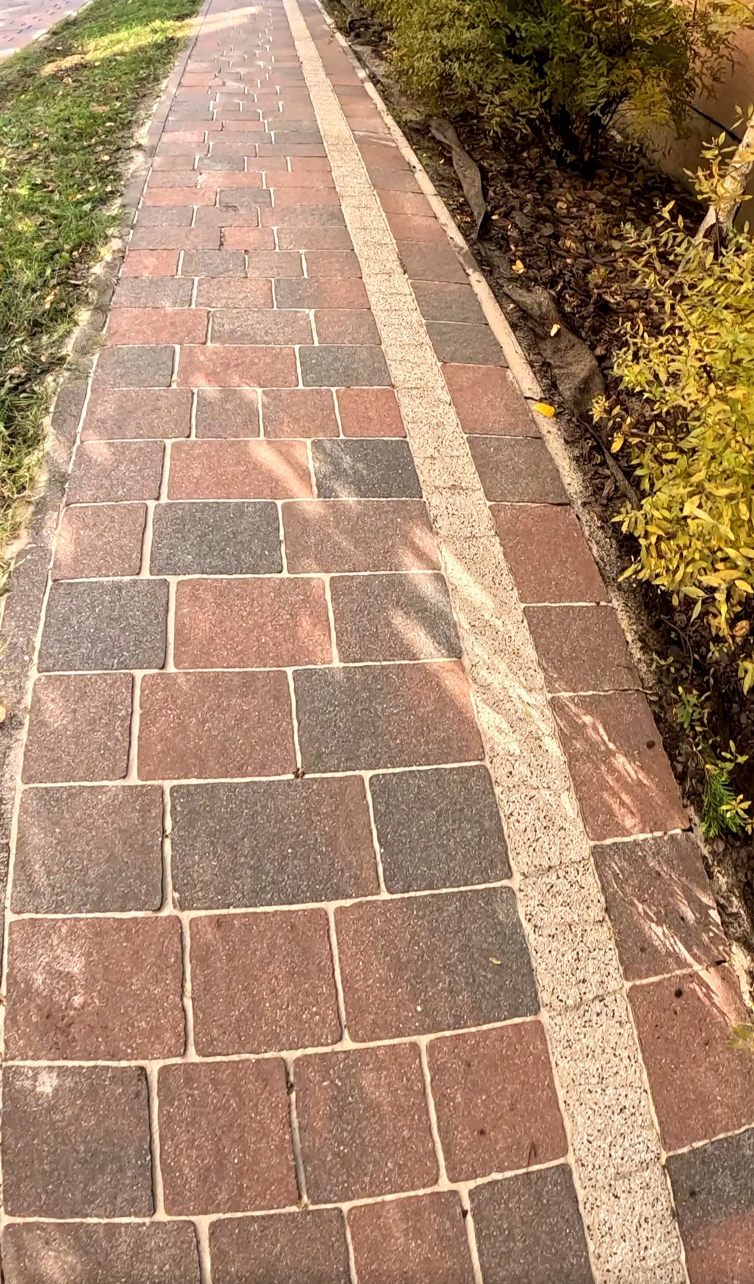 Ułożona kostka brukowa w odcieniach czerwieni i szarości, oddzielona pasem jasnego kruszywa, tworząca ścieżkę w ogrodzie. Widok z perspektywy pieszego.