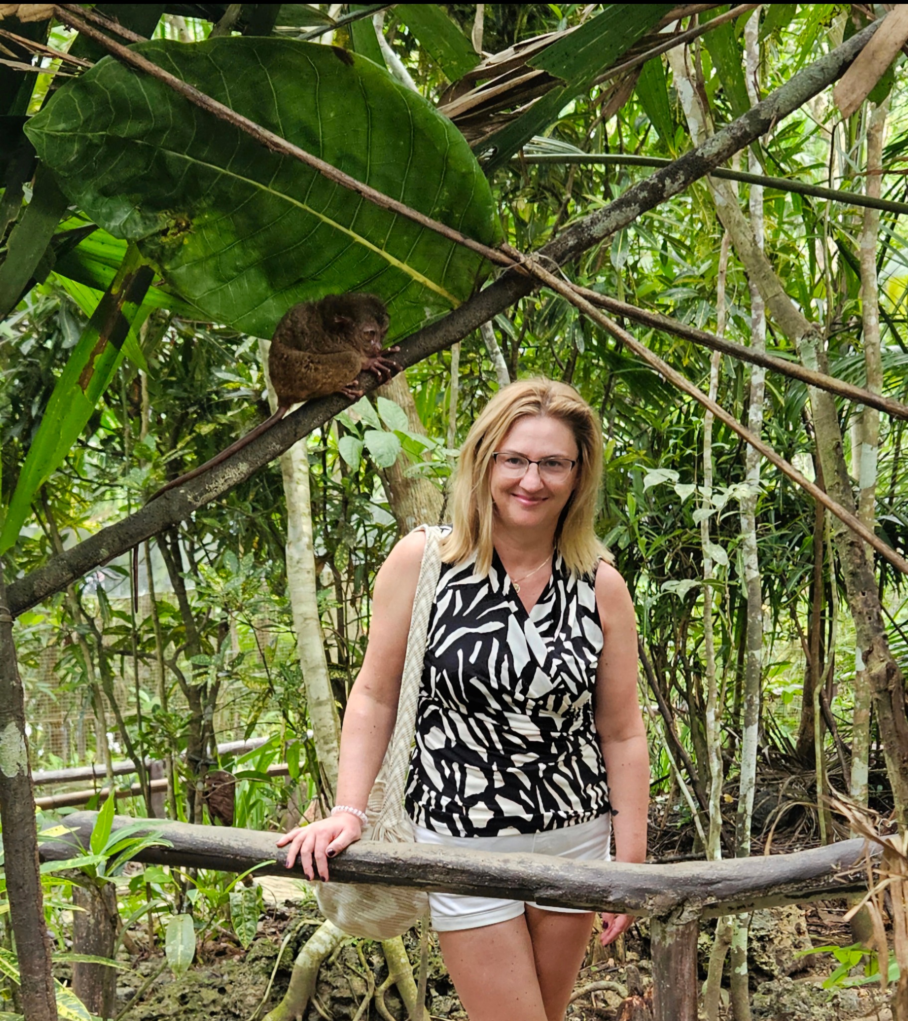 Kobieta w tropikalnym lesie z wyrakami filipińskimi na gałęzi. Egzotyczna fauna i flora w naturalnym środowisku. Turystyka przyrodnicza.