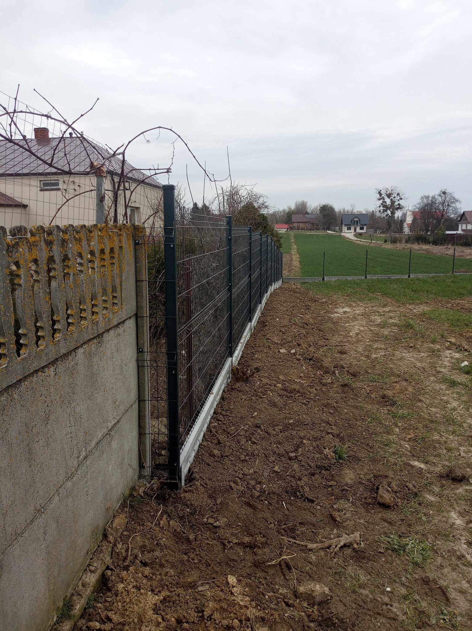 Montaż ogrodzenia panelowego na nierównym terenie, widok z boku. Stary betonowy płot z porostami i nowy panelowy, zielony. Tło: domy i pole. Pochmurne niebo.