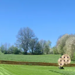 Krajobraz z równo skoszoną trawą w paski, oddzieloną drewnianym płotem. W tle drzewa i błękitne niebo. Widoczna kosiarka w trakcie pracy.