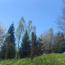 Ogrodnik Duszniki-Zdrój 3