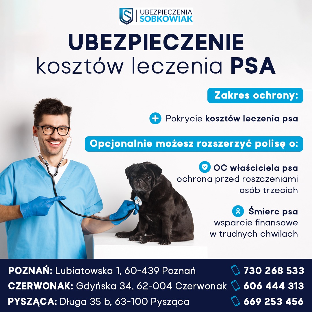 Ubezpieczenie kosztów leczenia psa