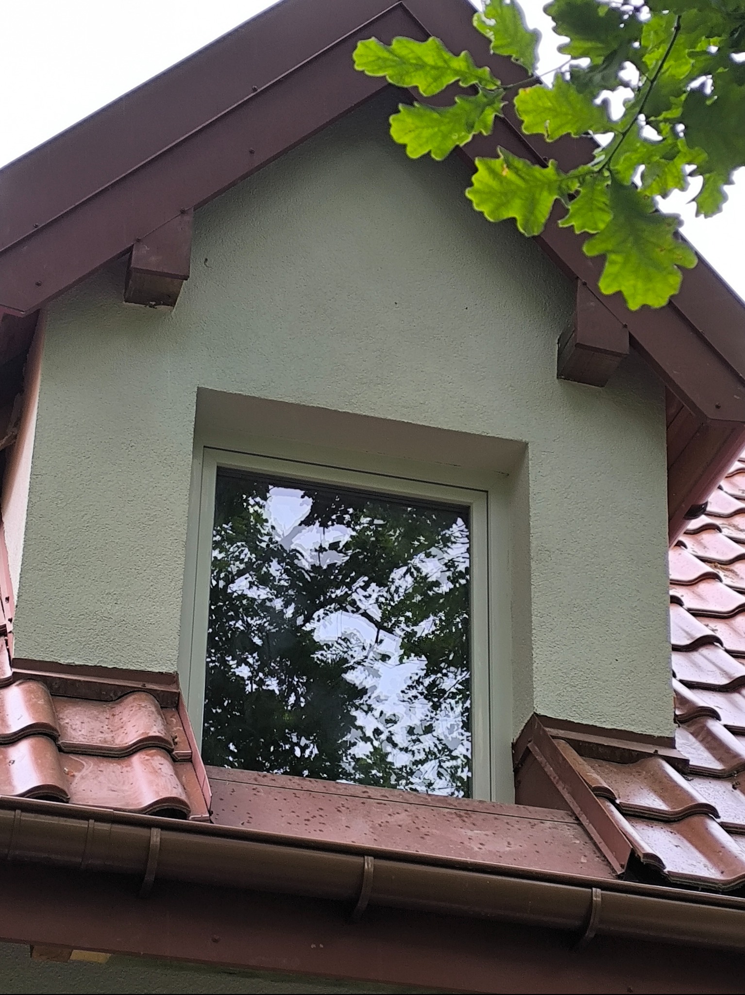 Fragment elewacji domu z oknem i brązową dachówką. Widoczne zielone liście drzew. Elewacja w odcieniach zieleni i brązu. Okno odbija drzewo.