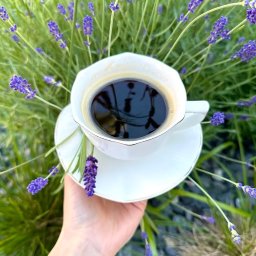 Crazy Fresh - Filżanka czarnej kawy na spodku, trzymana w dłoni na tle kwitnącej lawendy, złote obramowanie filżanki, naturalne światło.