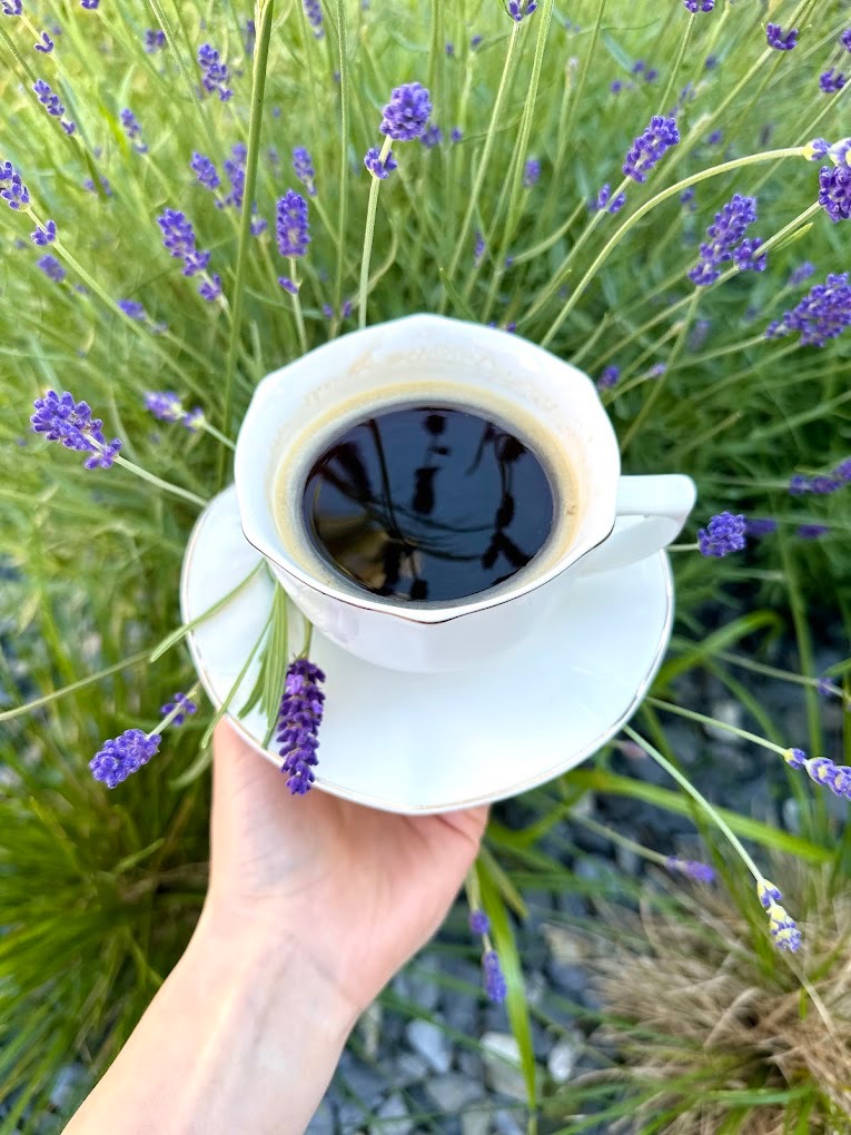 Filżanka czarnej kawy na spodku, trzymana w dłoni na tle kwitnącej lawendy, złote obramowanie filżanki, naturalne światło.