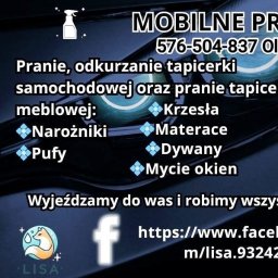 Lisa Pranie Mobilne OLEKSANDR LINTUR - Pranie Materacy Bolesławiec