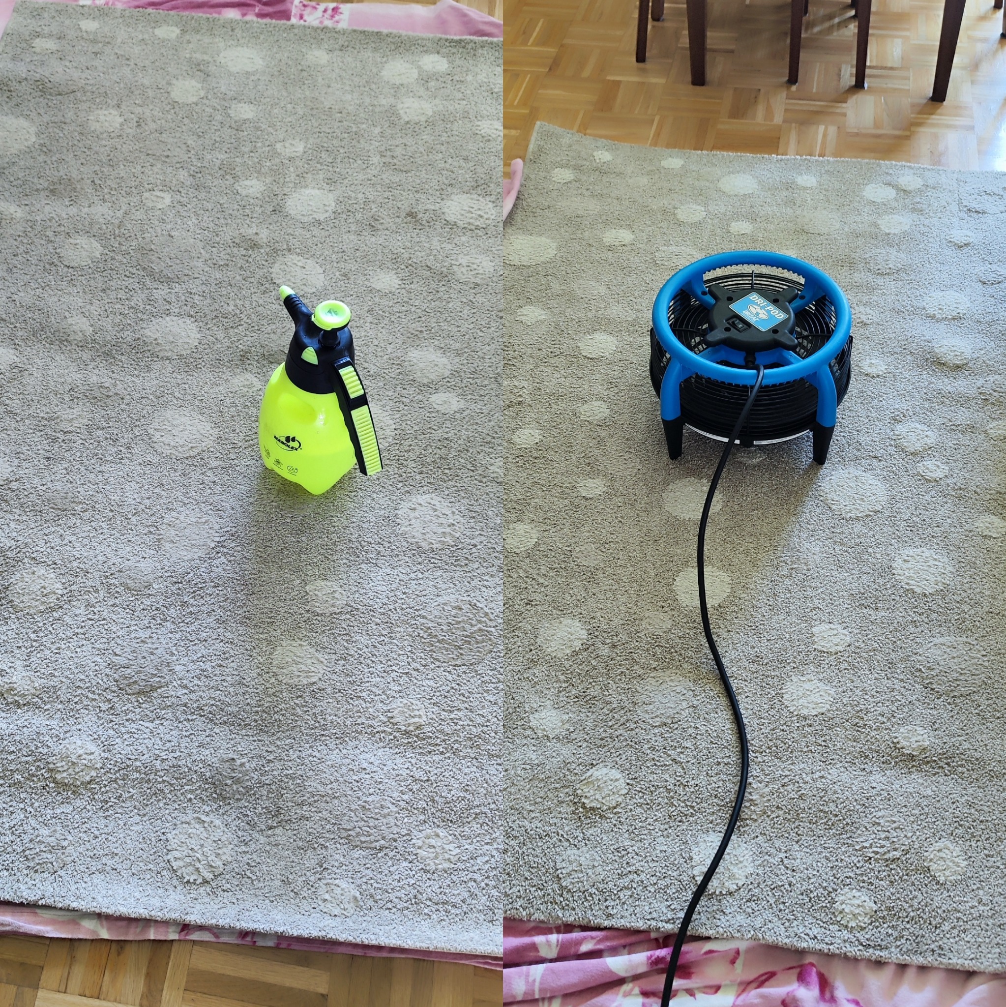 Dywan z okrągłym wzorem, czyszczony spryskiwaczem i suszarką w Bolesławcu. Widoczne narzędzia i etap pracy.