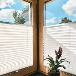 Aurena Marcin Szóstko - Dwa okna narożne z drewnianą ramą i białymi plisowanymi roletami wewnętrznymi, widok na błękitne niebo z chmurami i drzewa, na parapecie doniczka z rośliną.