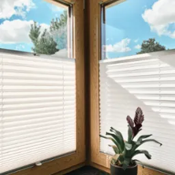 Dwa okna narożne z drewnianą ramą i białymi plisowanymi roletami wewnętrznymi, widok na błękitne niebo z chmurami i drzewa, na parapecie doniczka z rośliną.