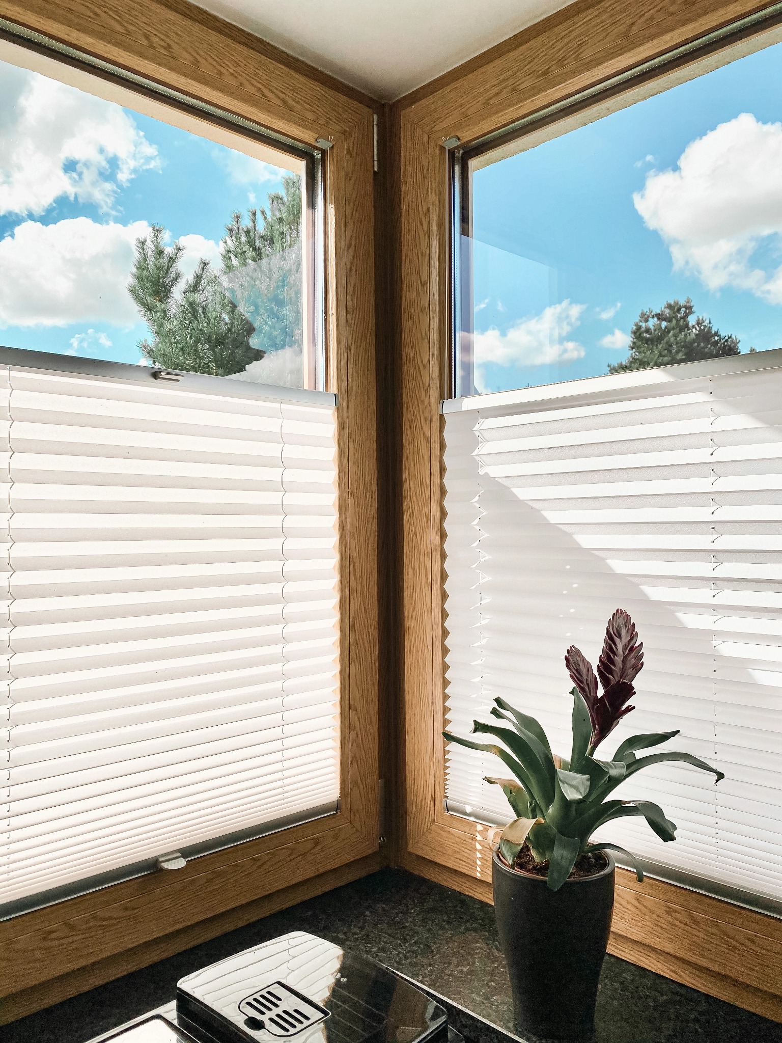 Dwa okna narożne z drewnianą ramą i białymi plisowanymi roletami wewnętrznymi, widok na błękitne niebo z chmurami i drzewa, na parapecie doniczka z rośliną.