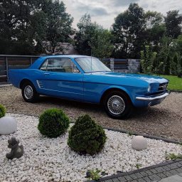 Detailing Manufaktura Blasku Powłoka Ceramiczna, Sprzątanie i Polerowanie Samochodu- - Błękitny Ford Mustang z 1965 roku na żwirowym podjeździe, otoczony kulistymi krzewami i dekoracyjnymi kamieniami, z widocznym fragmentem kostki brukowej i zieleni w tle.