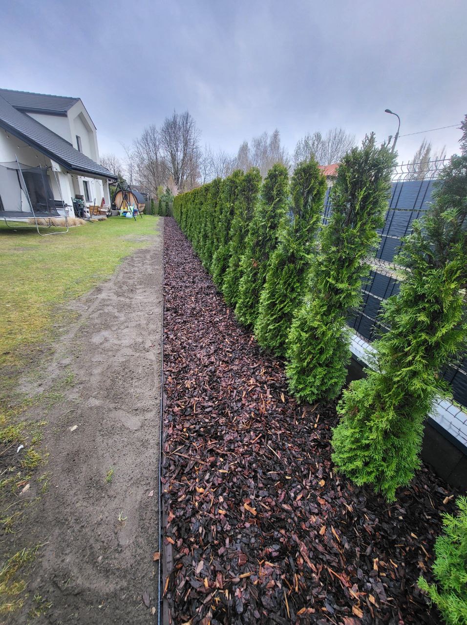 Równy szpaler zielonych tui oddziela trawnik od ciemnej kory drzewnej, tworząc estetyczne obramowanie wzdłuż ogrodzenia z paneli fotowoltaicznych. W tle widoczny dom z białymi ścianami i ciemnym...