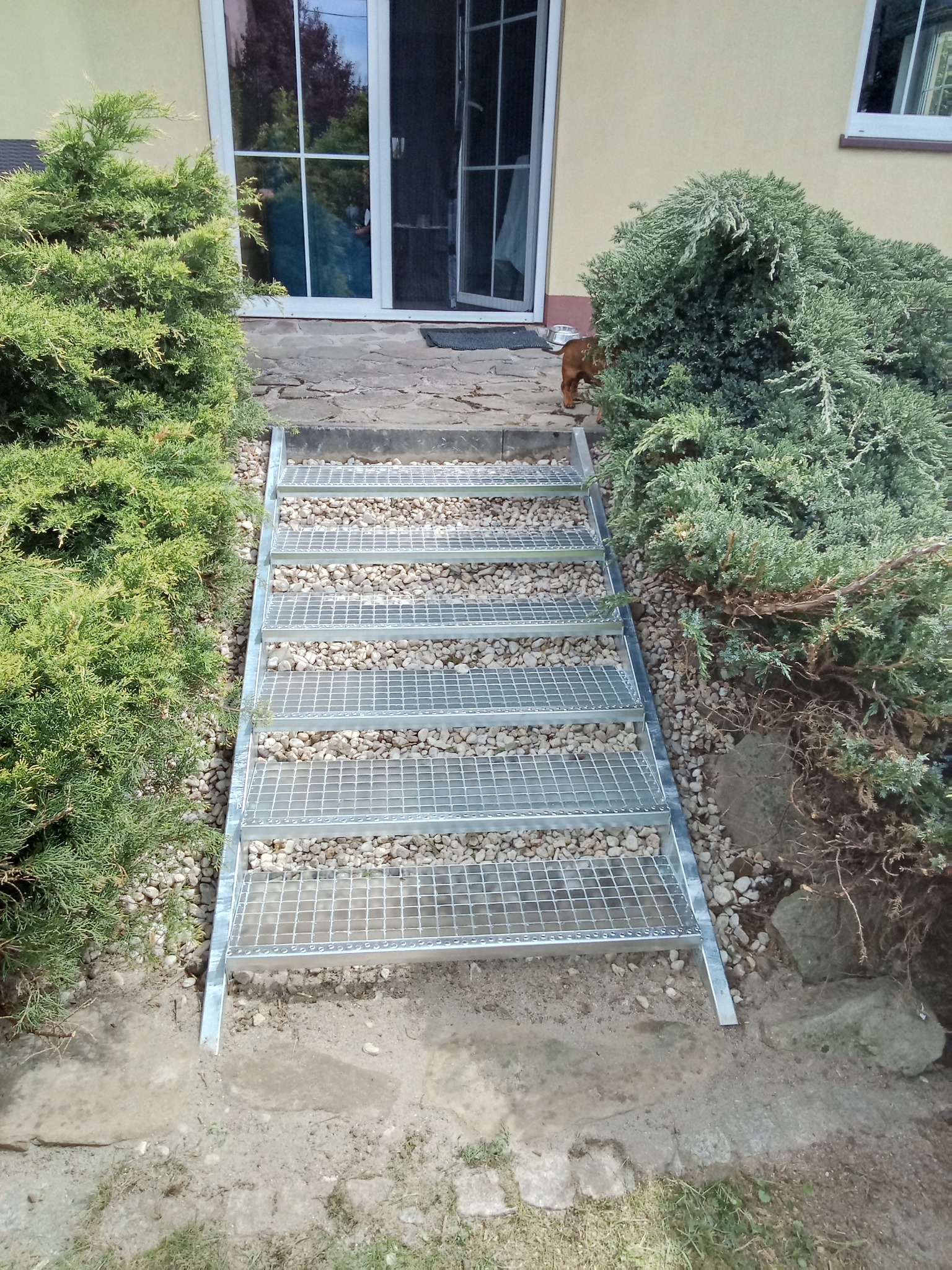 Zewnętrzne, metalowe schody kratowe prowadzące do drzwi tarasowych, otoczone zielenią. Stopnie wypełnione drobnymi kamieniami. W tle widoczny pies przy misce.