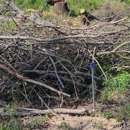 Wycinka drzew Gronówko 4