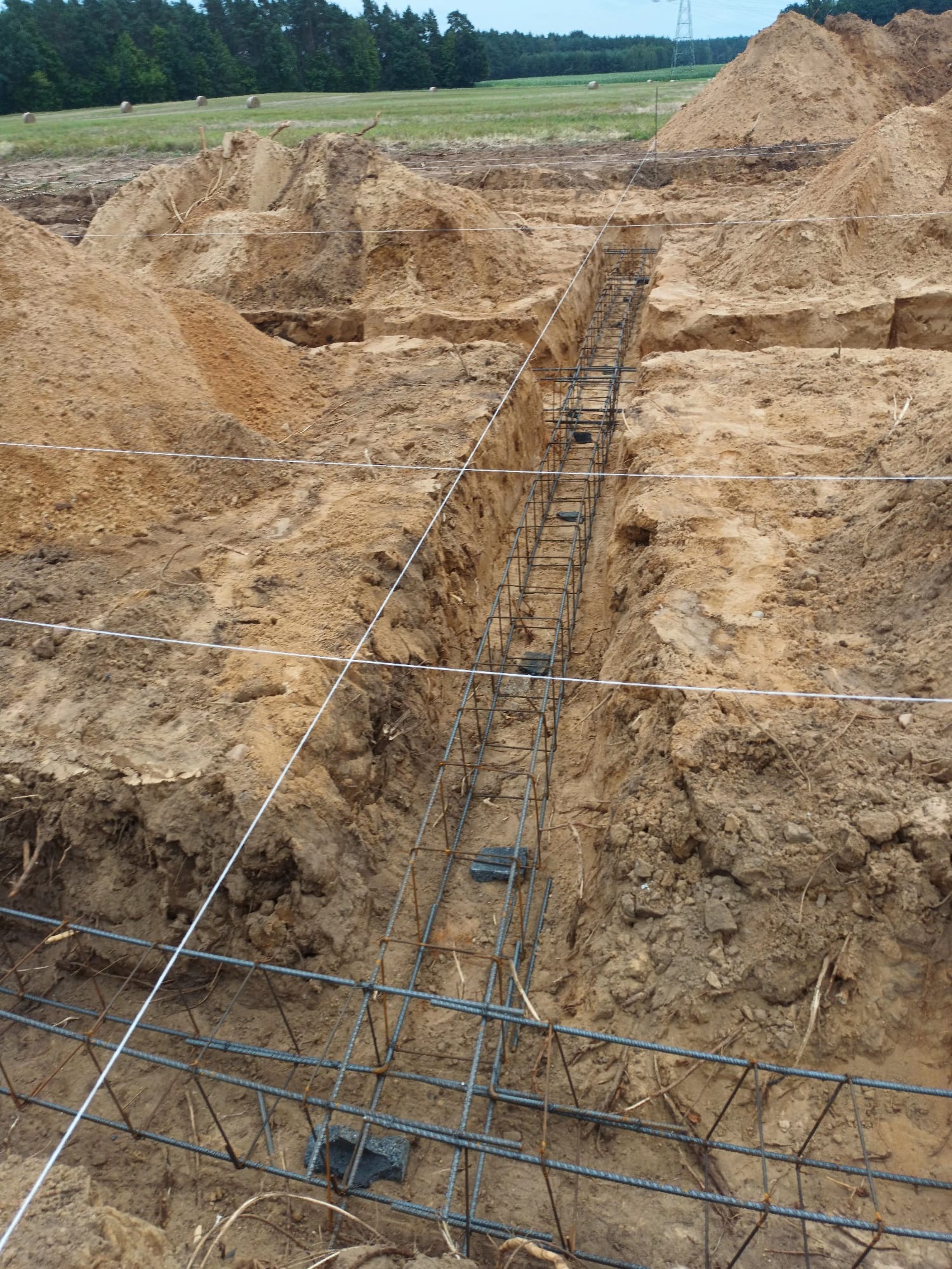 Zbrojenie w wykopie pod fundament, widoczne linki wyznaczające granice, ziemia, w tle łąka i las. Detal zbrojenia w ziemi.