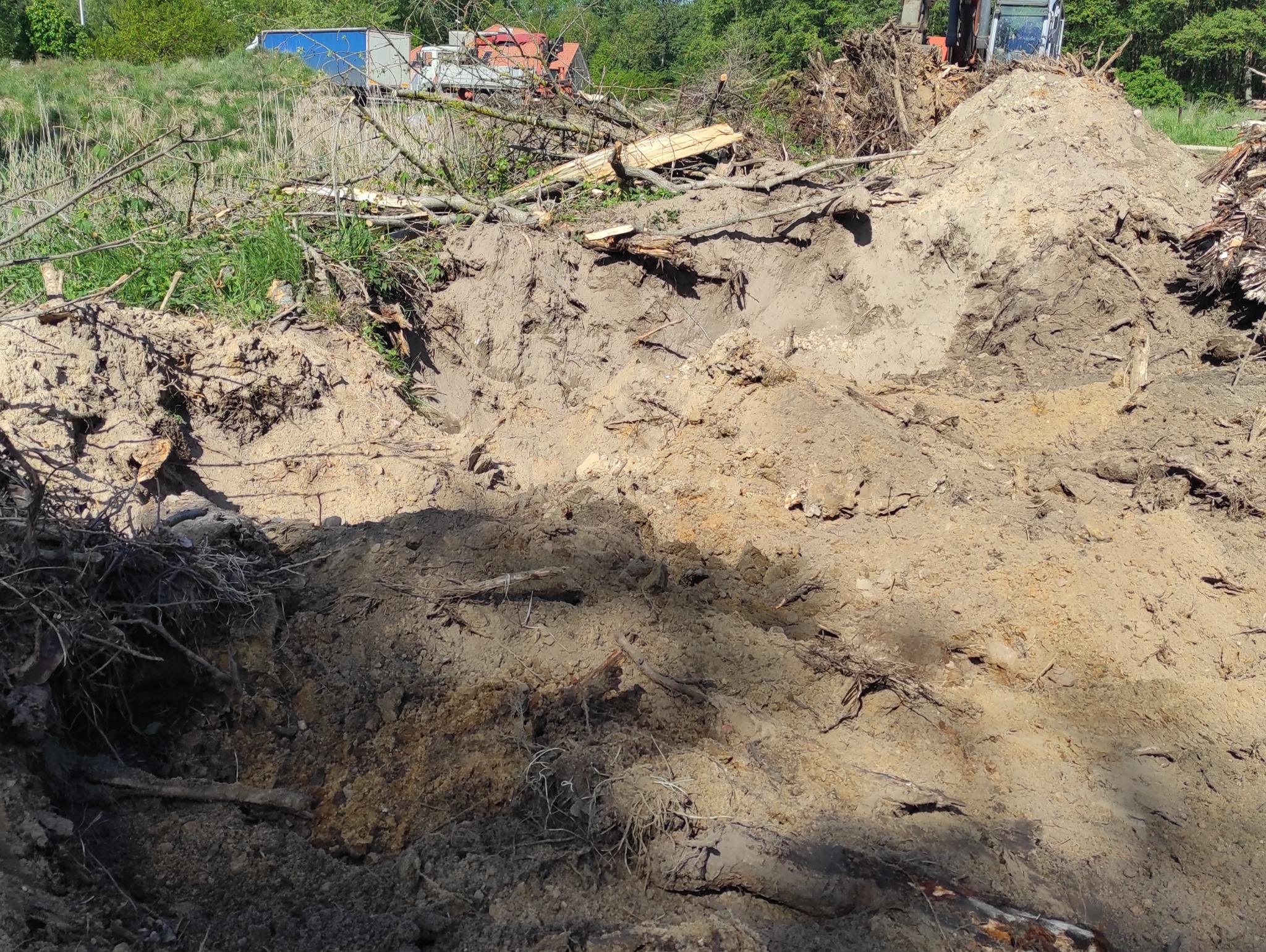 Świeżo wykopany dół w ziemi z wystającymi korzeniami i gałęziami. W tle widoczny sprzęt budowlany i zieleń drzew. Słoneczny dzień, wyraźne cienie.