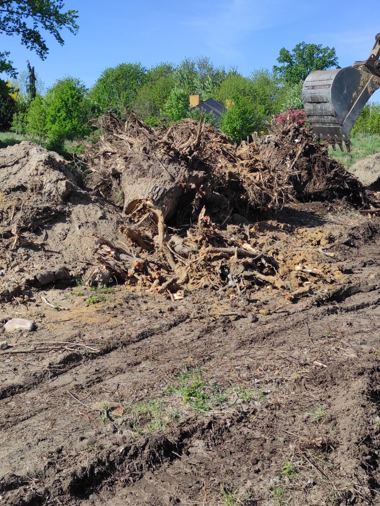 Usuwanie korzeni pod niwelacje terenu