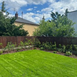 ZIELONA MAGIA MACIEJ STYCZYŃSKI - Świeżo założony trawnik z rolki, widoczny drewniany płot i rabata z korą, dom w tle, błękitne niebo z obłokami.