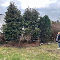 ZIELONA MAGIA MACIEJ STYCZYŃSKI - Ogród z dużymi tujami, kobieta w kurtce z futrzanym kołnierzem stoi na trawniku, widoczne brązowe ogrodzenie i pochmurne niebo.