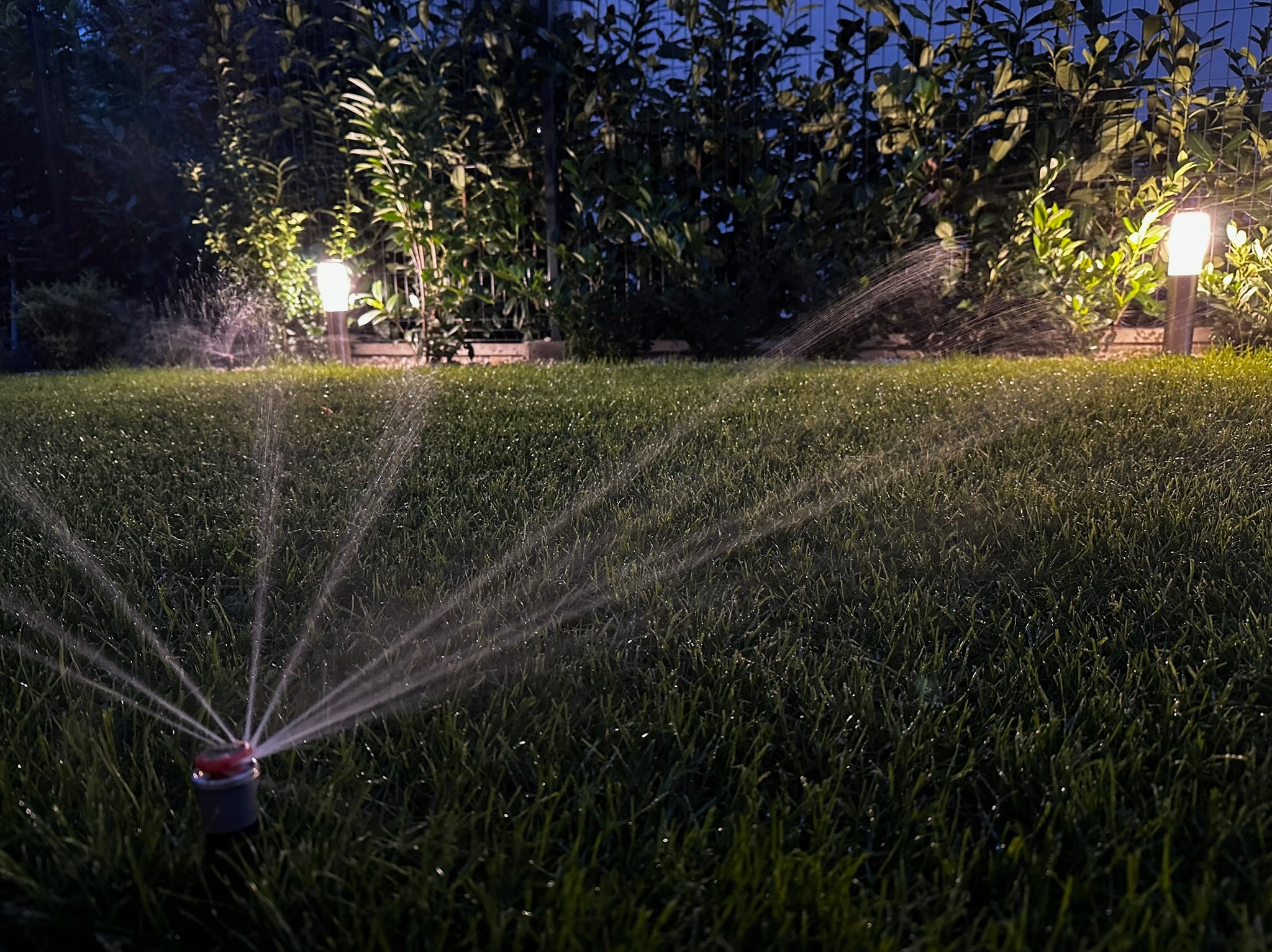 Zraszacze rotacyjne nawadniają trawnik o zmierzchu, podświetlony lampami ogrodowymi, w tle żywopłot.