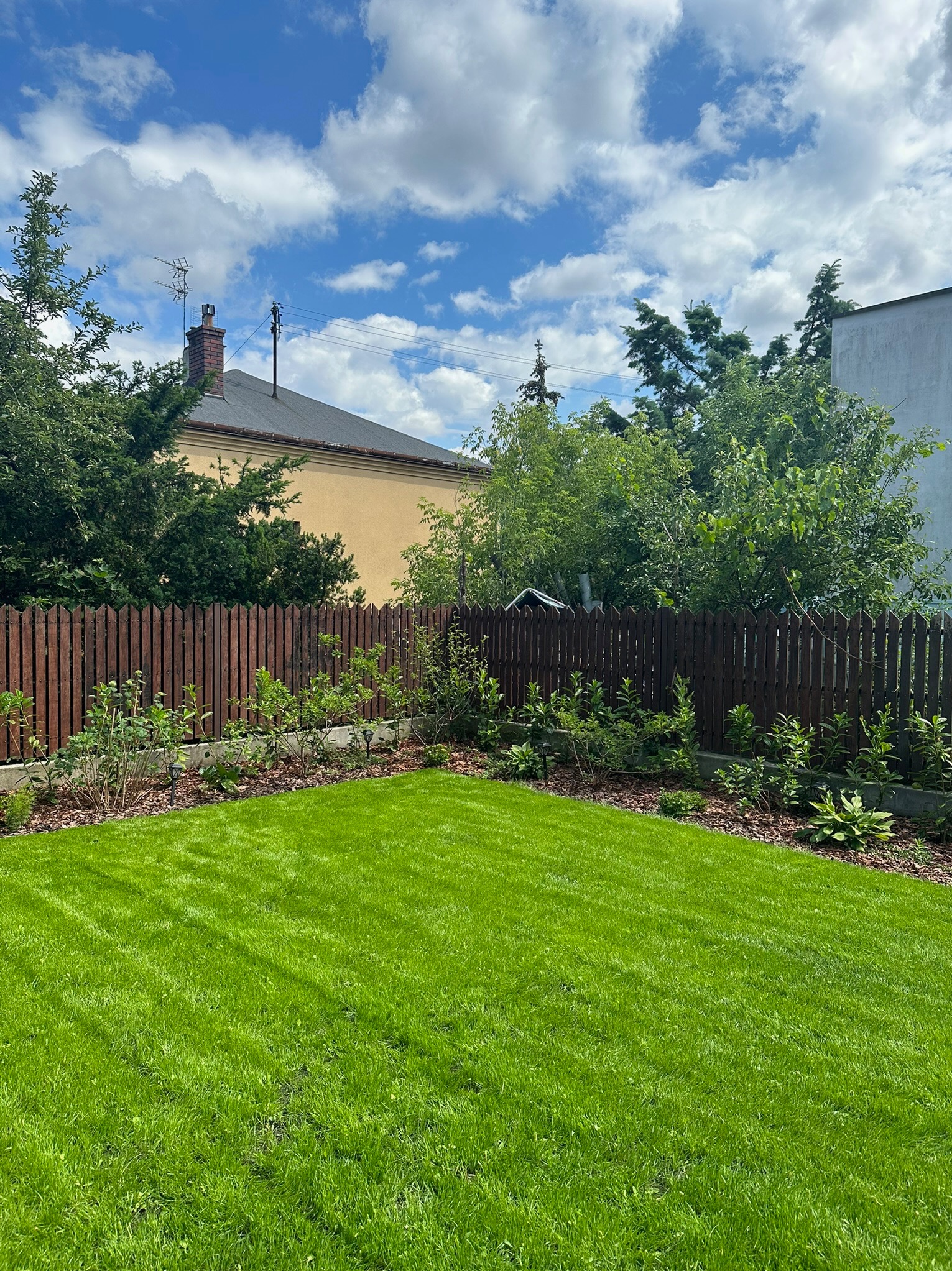 Świeżo założony trawnik z rolki, widoczny drewniany płot i rabata z korą, dom w tle, błękitne niebo z obłokami.