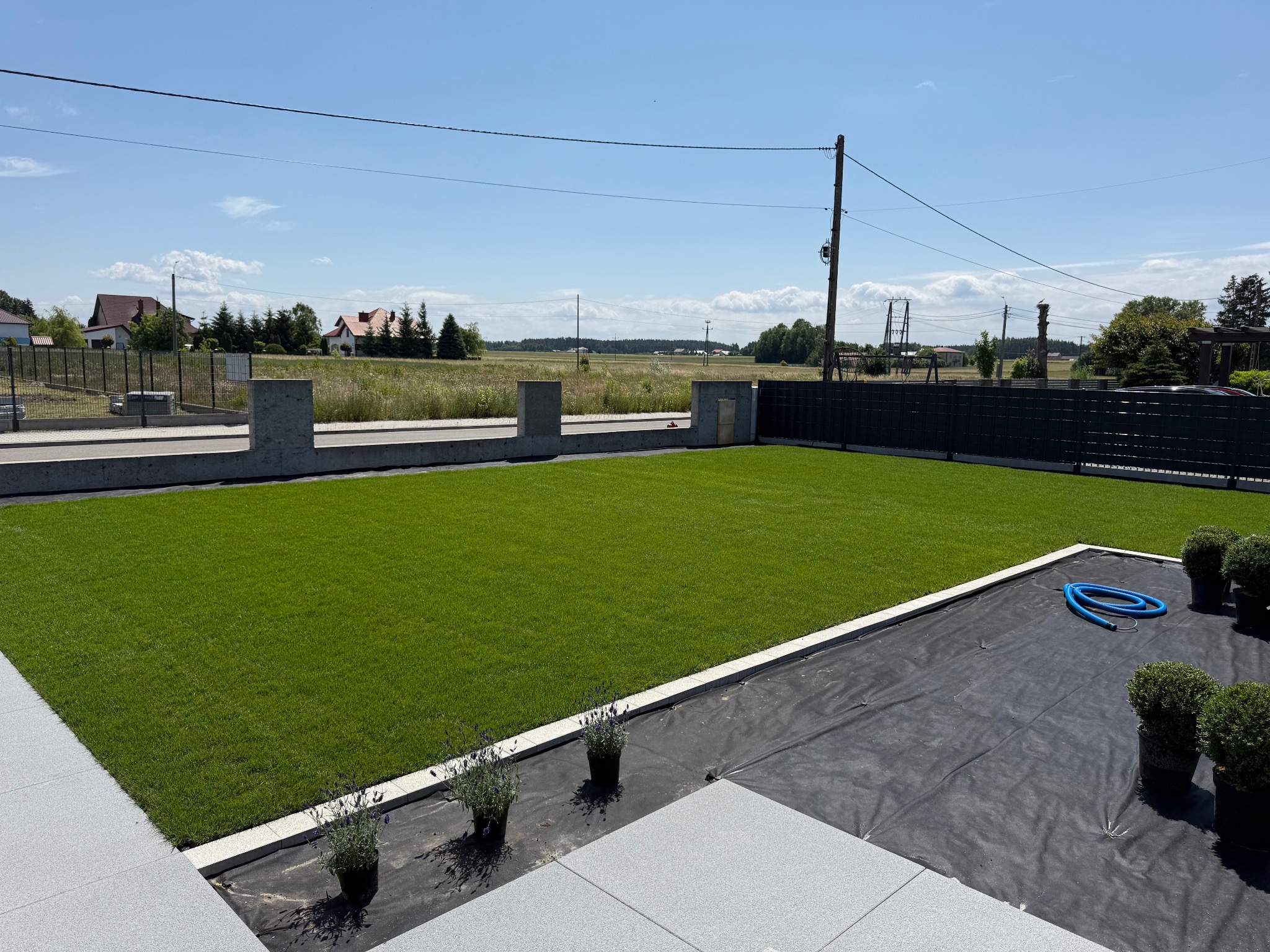 Świeżo założony trawnik z rolki, widok z góry na równą, zieloną powierzchnię. W tle ogrodzenie panelowe i domy. Fragment tarasu z donicami i niebieski wąż.