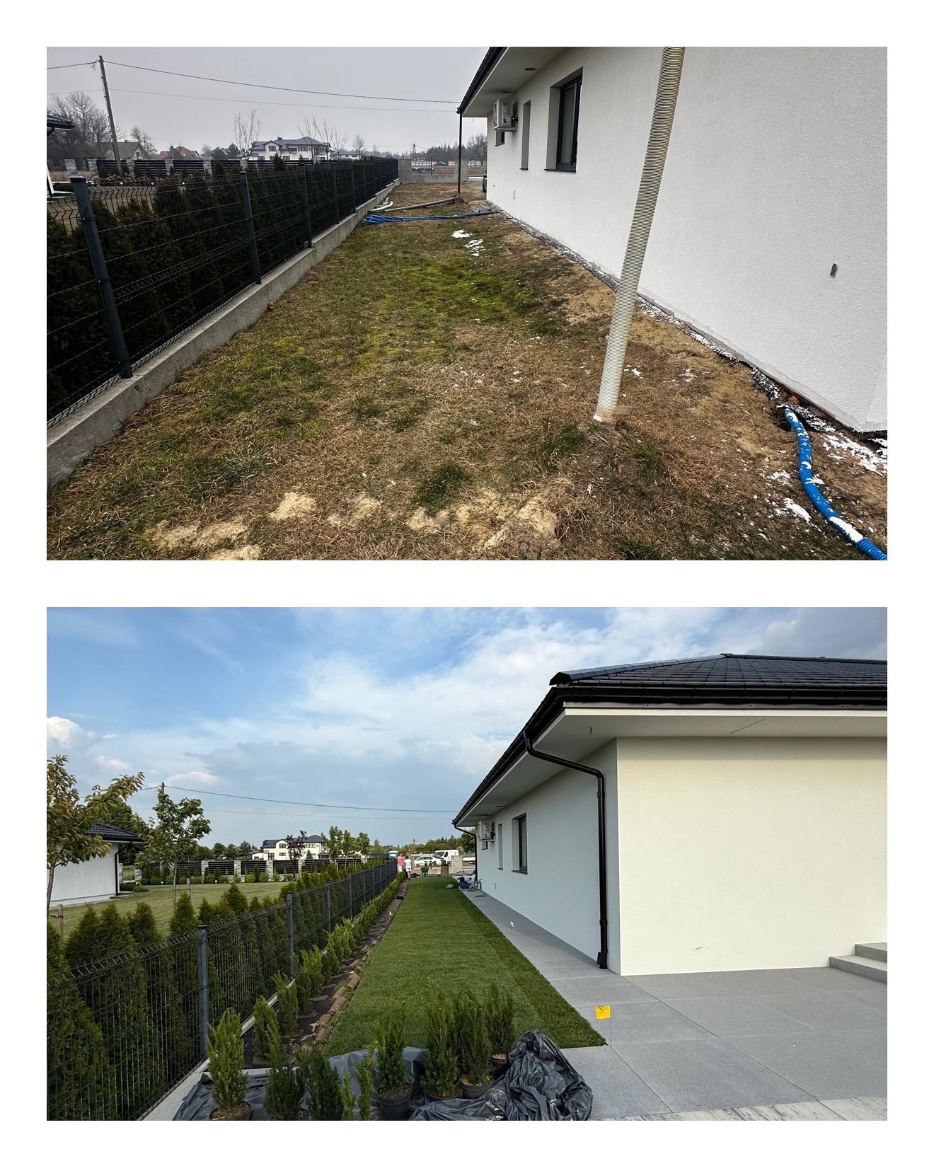 Zdjęcie 'przed i po' ukazuje metamorfozę ogrodu: od zaniedbanego trawnika do zielonego dywanu z tujami wzdłuż ogrodzenia panelowego.
