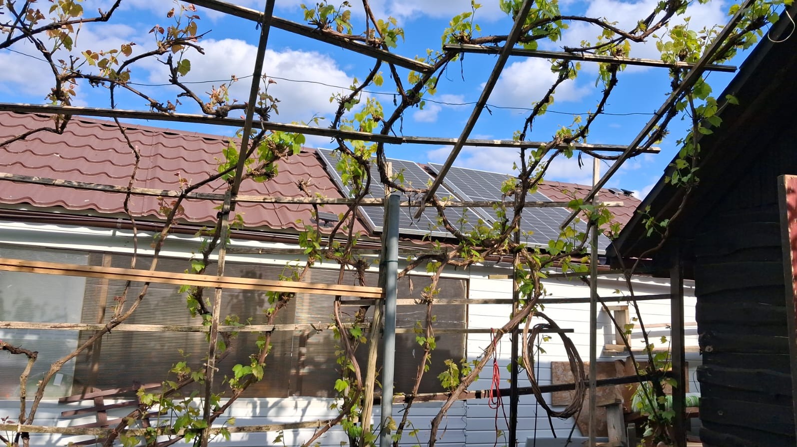 Panele fotowoltaiczne na dachu domu widoczne spod drewnianej konstrukcji z pnącymi roślinami w słoneczny dzień z błękitnym niebem.