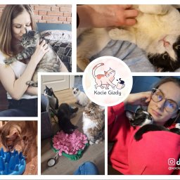 Zrelaksowane i szczęśliwe koty to efekt indywidualnej terapii behawioralnej i dopasowanej diety. Zaufaj Kocim Gizdom – profesjonalna pomoc dla Ciebie i Twojego pupila! 
