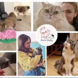 Kompleksowa opieka nad kotem: analiza zachowania, dobór karmy, poprawa relacji w stadzie.