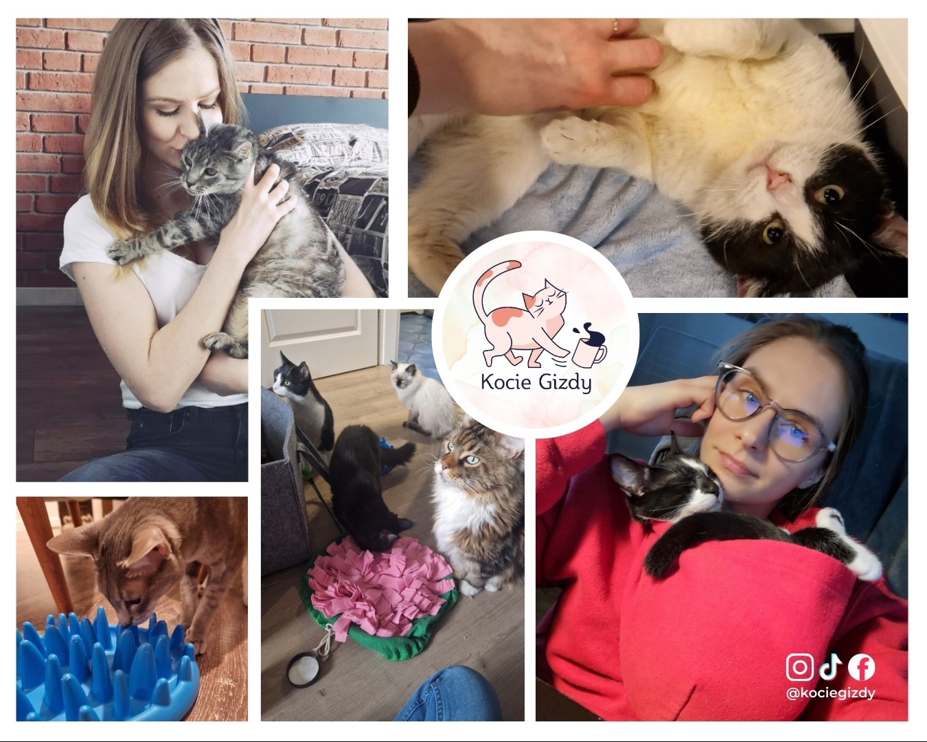 Kolaż zdjęć: kobieta trzyma kota na tle ceglanej ściany, kot leżący na plecach głaskany po brzuchu, grupa kotów obserwujących dywanik węchowy, kot jedzący z miski spowalniającej, kobieta z kotem...