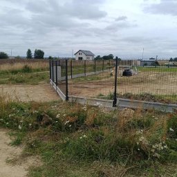 Wycinka drzew Skrzeszewo Żukowskie 2