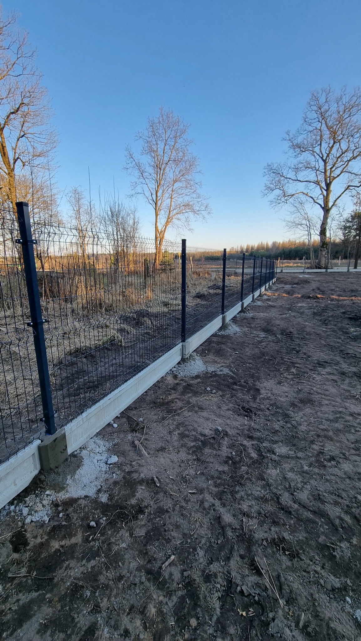 Nowoczesne ogrodzenie panelowe z podmurówką betonową, na tle jesiennego krajobrazu. Widok z perspektywy gruntu, błękitne niebo w tle.