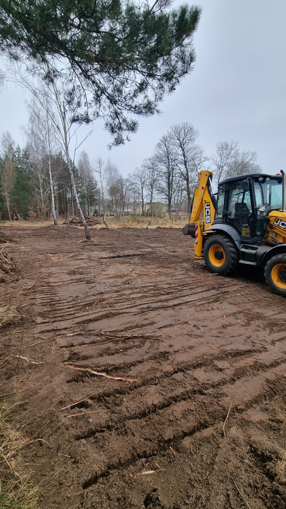 Żółto-czarna koparko-ładowarka JCB na błotnistym terenie po niwelacji, widoczne ślady opon, w tle drzewa i stos gałęzi. Pochmurne niebo.