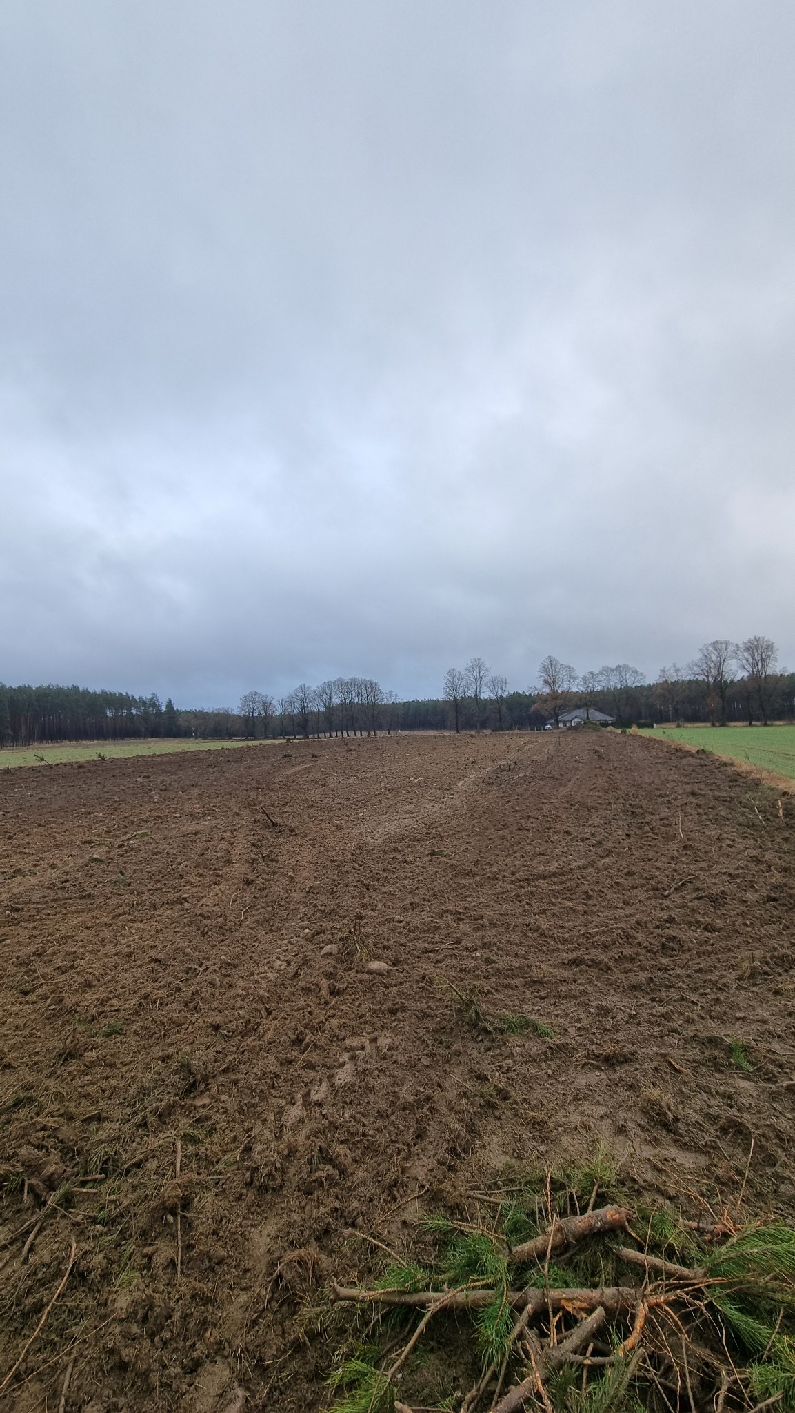 Przygotowany teren pod budowę z widocznymi śladami maszyn i pozostałościami po wycince drzew, w tle las i pochmurne niebo.