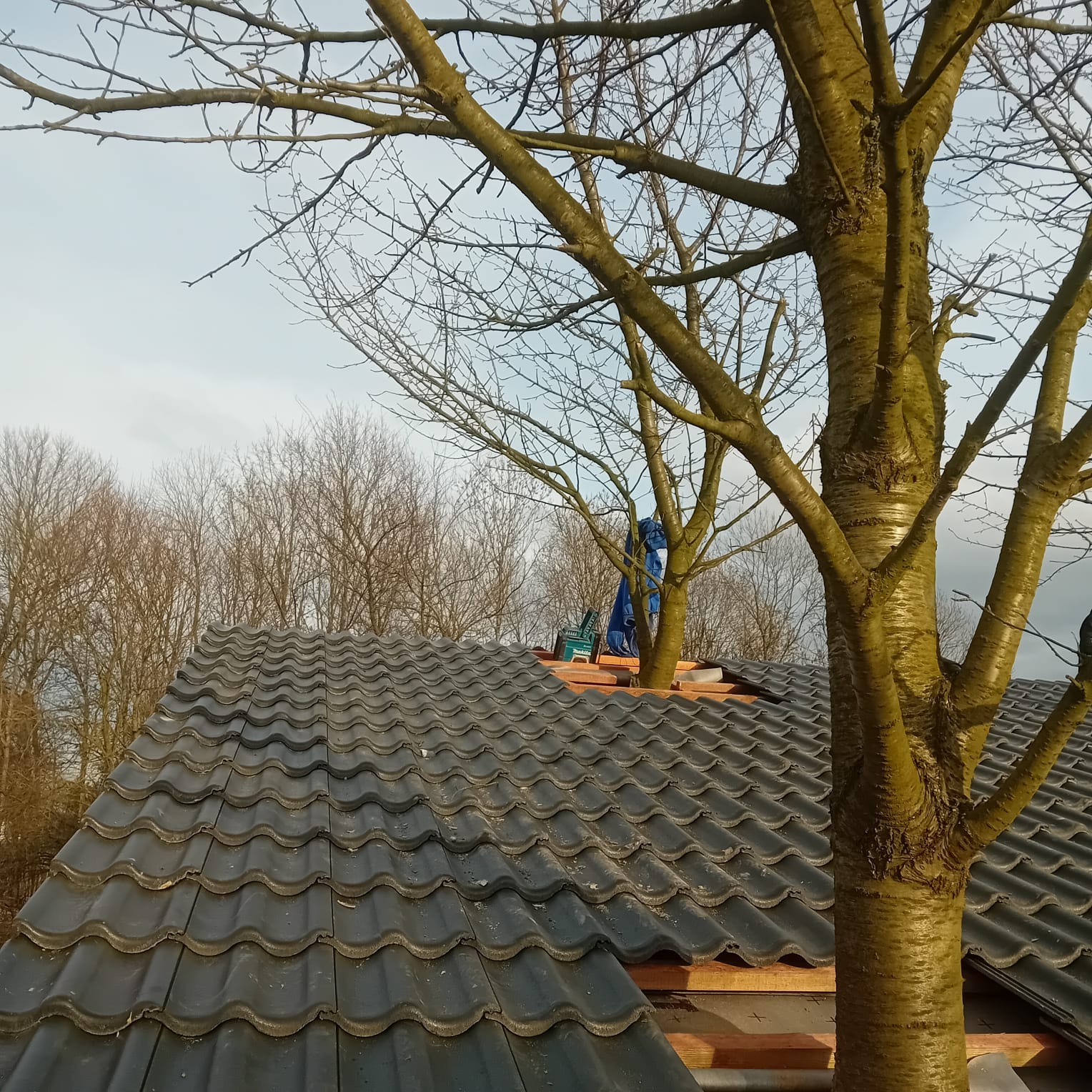 Wykonanie Usługi Ciesielsko Dekarskie Marcin Gaździcki