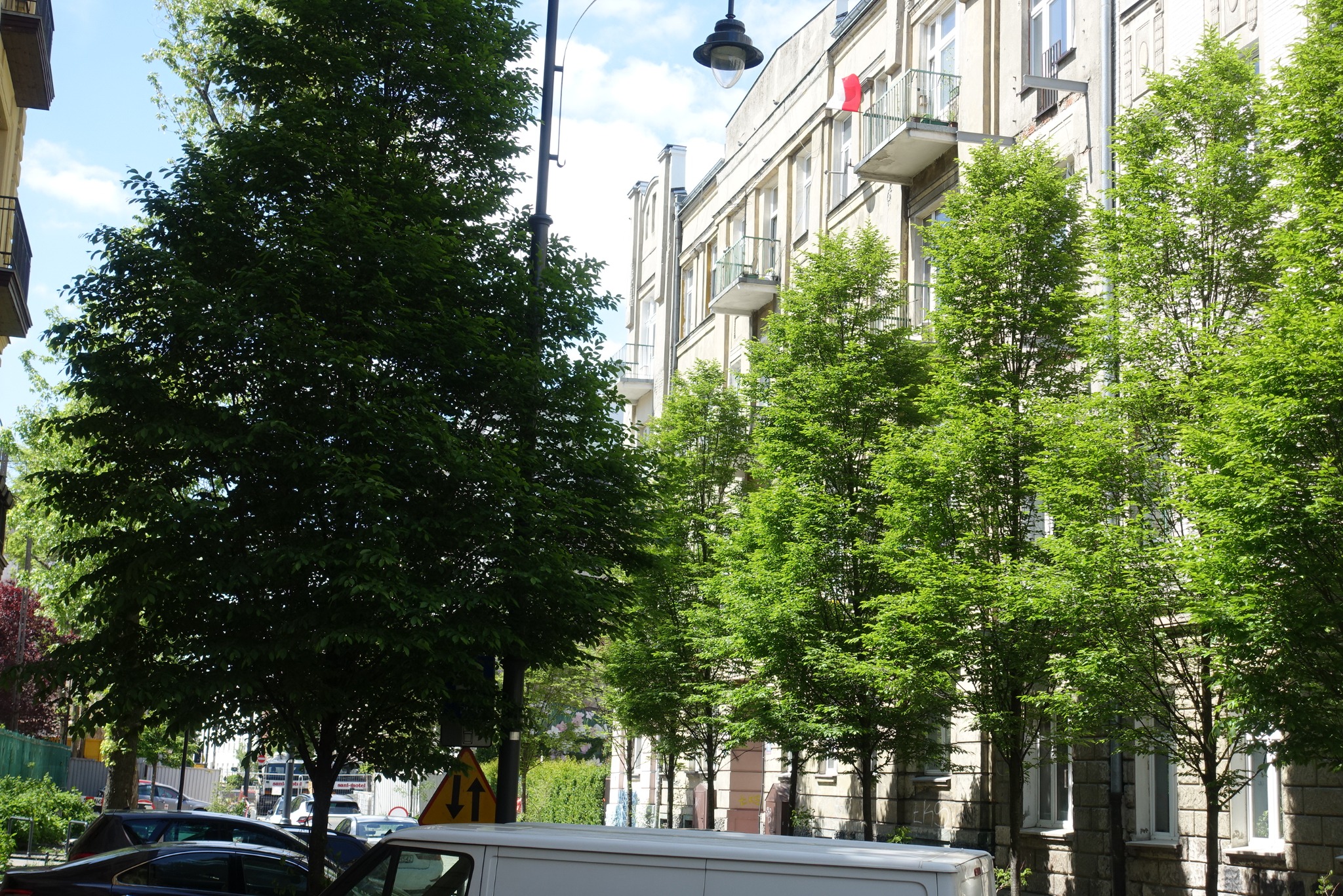 Elewacja kamienicy z balkonami, przesłonięta zielenią drzew. Na balkonie czerwona flaga. Ulica z zaparkowanymi autami i białą furgonetką. Słoneczny dzień.