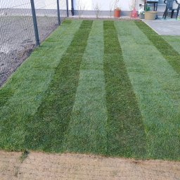 Trawa z rolki Gdańsk 1