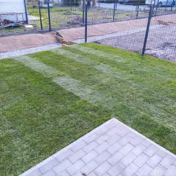 Świeżo założony trawnik z rolki, z widocznymi pasami po koszeniu, graniczący z szarą kostką brukową i przygotowanym terenem pod nasadzenia, ogrodzony metalową siatką.