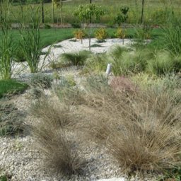 PERSSON PRZEMYSŁAW JABŁOŃSKI - Ogród z ozdobnymi trawami i białym żwirem, w tle trawnik i małe drzewka. Kompozycja z różnorodnych roślin, w tym niskie krzewy i wysokie trawy. Widoczny fragment instalacji nawadniającej.